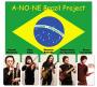 A-NO-NE Brazil Project